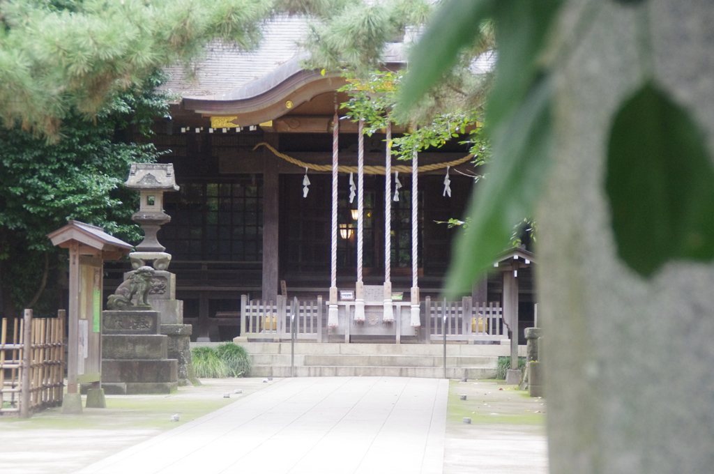 氷川神社