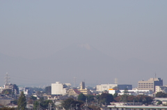 不機嫌な富士山？