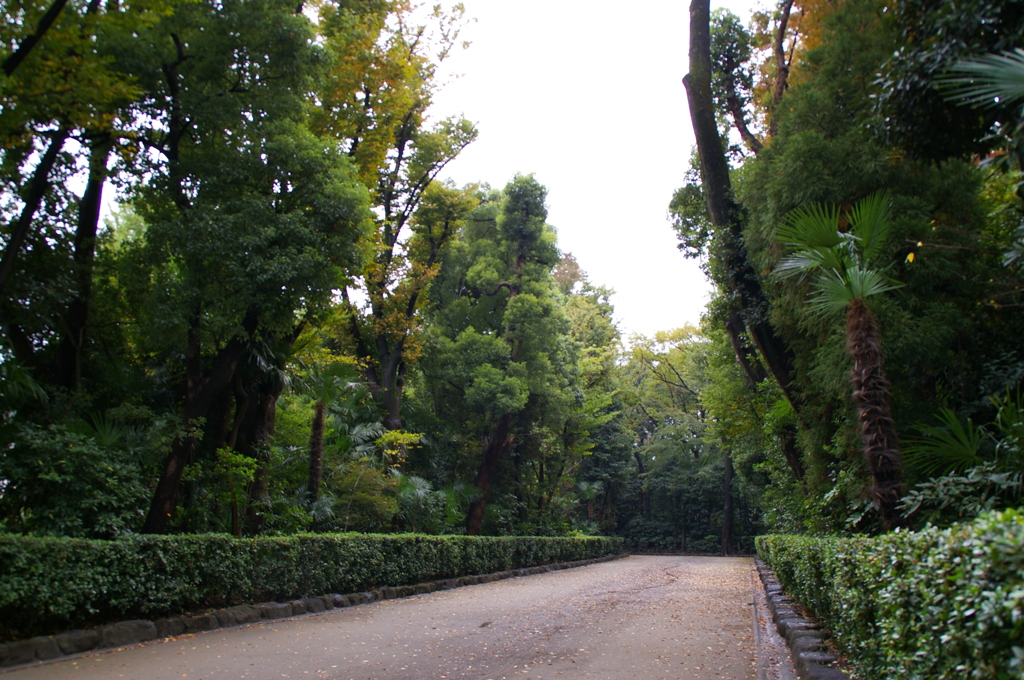 井草八幡（通路）