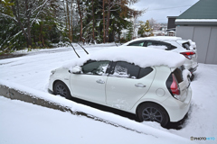 四月の雪 四月の雪