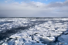 流氷