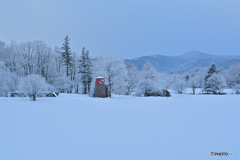冬・農景