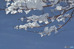 おめでとうございます