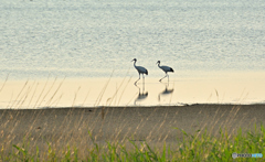 夏至の頃-17：36