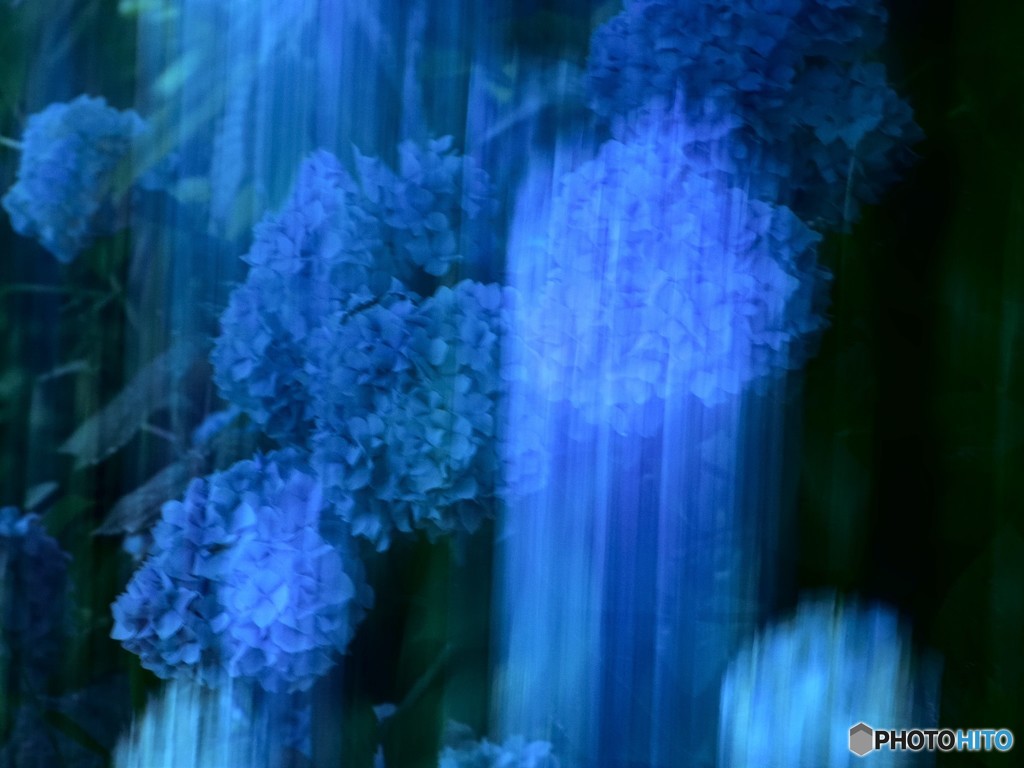 蒼花