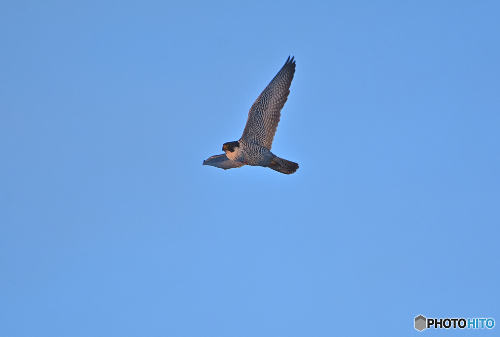 In the sky