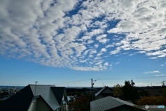 秋の空