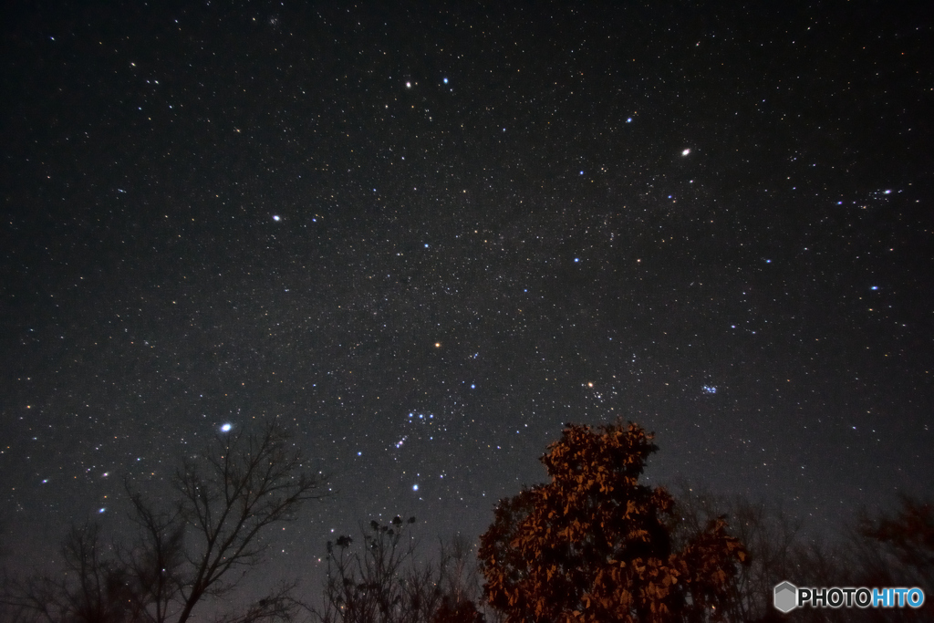 西の夜空