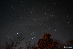 西の夜空