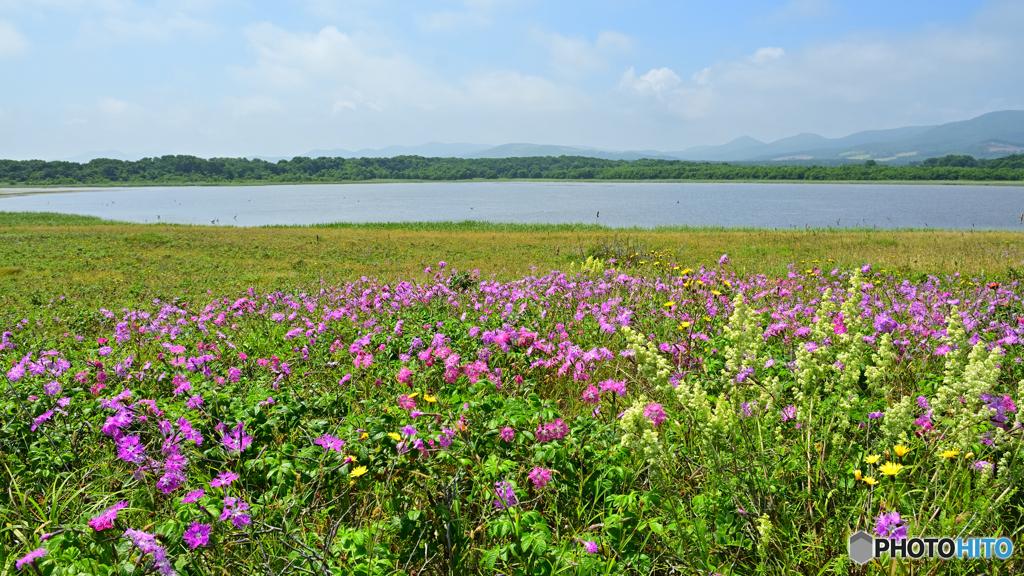 湖岸の彩り