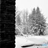 四月の雪・再