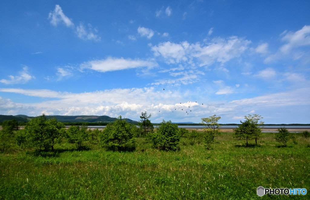 初夏の空