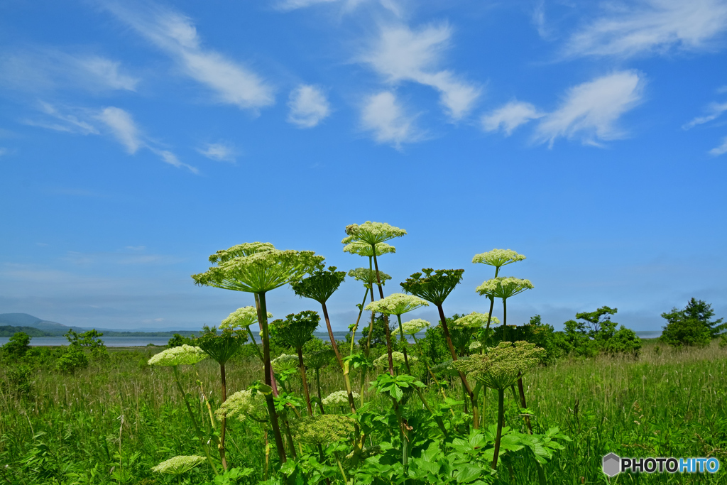澄みわたる空