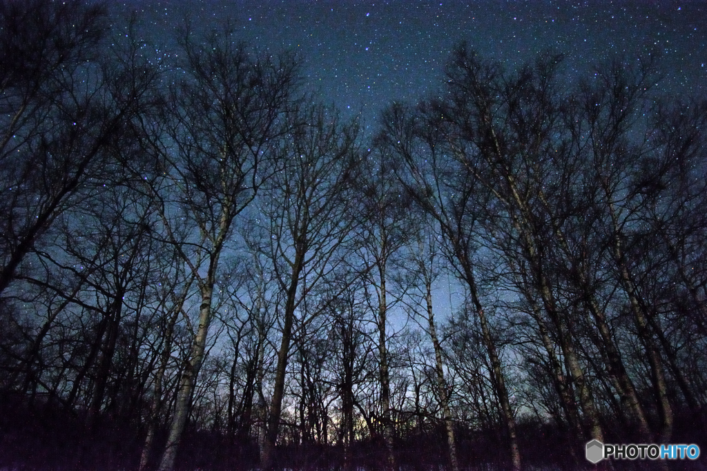 夜明けのバーチ