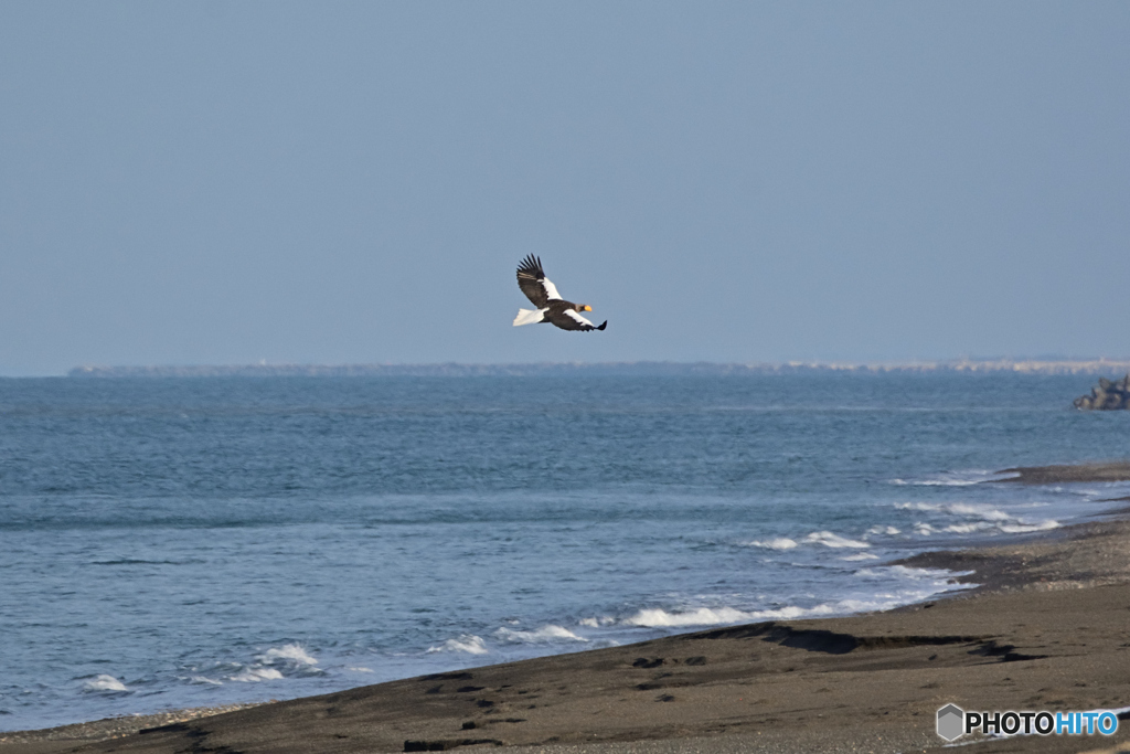 氷のない海