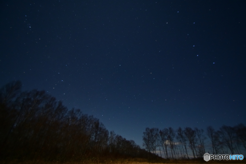 北の夜空