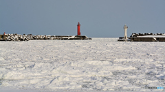 港の流氷