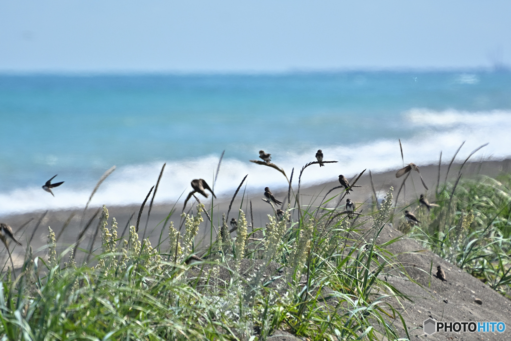 8月・陽炎海岸