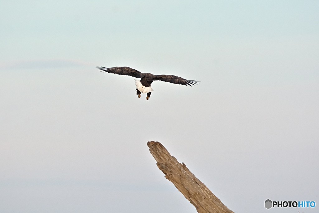 海風・重力のバランス