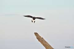 海風・重力のバランス