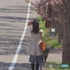 写欲