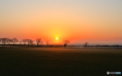 Misty morning