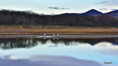 穏やかな朝