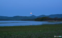 湖岸風景