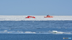 白海運航