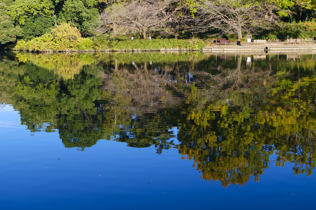 朝の公園1
