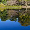 朝の公園1