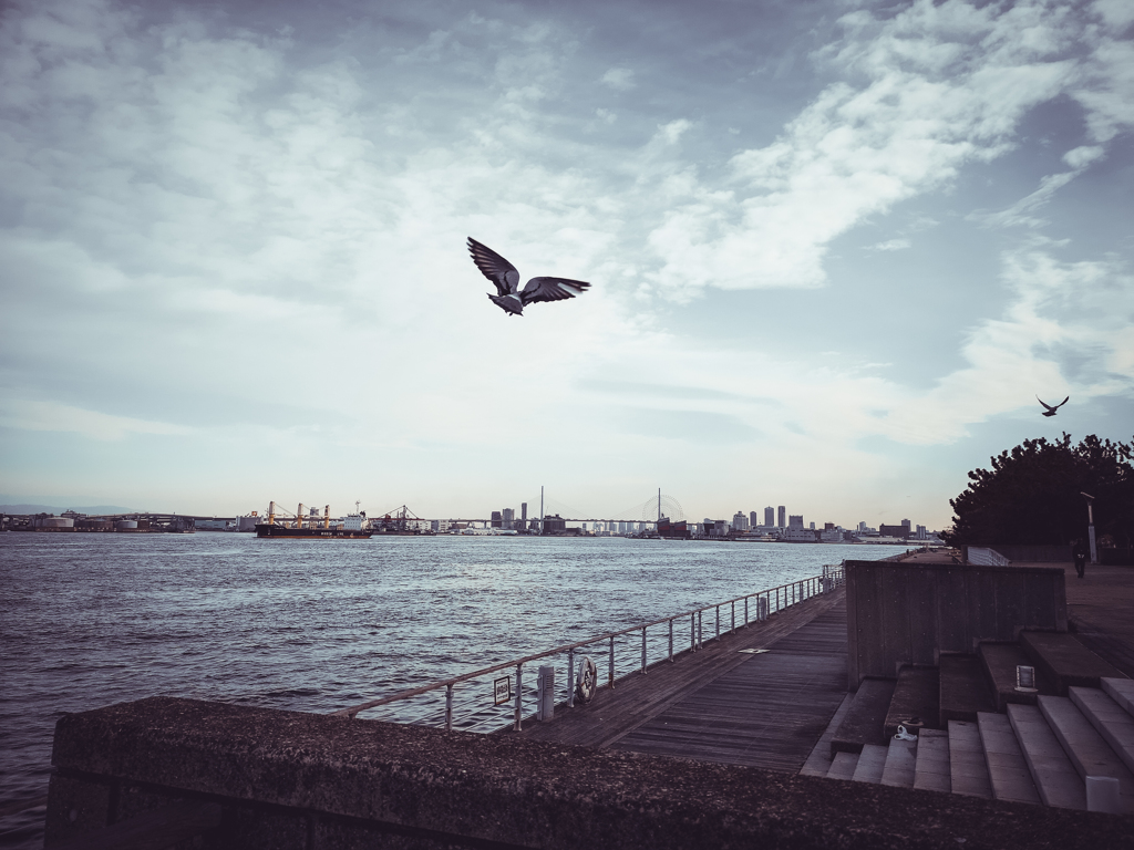 Soaring to freedom.