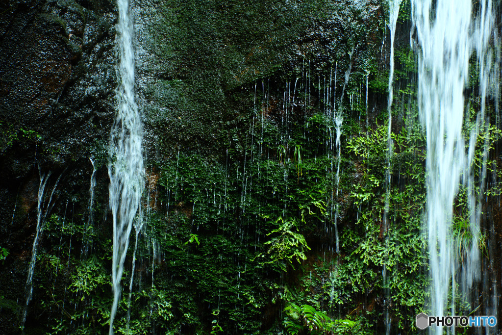 岩滲水