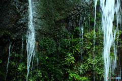 岩滲水