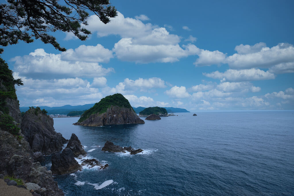 陛観