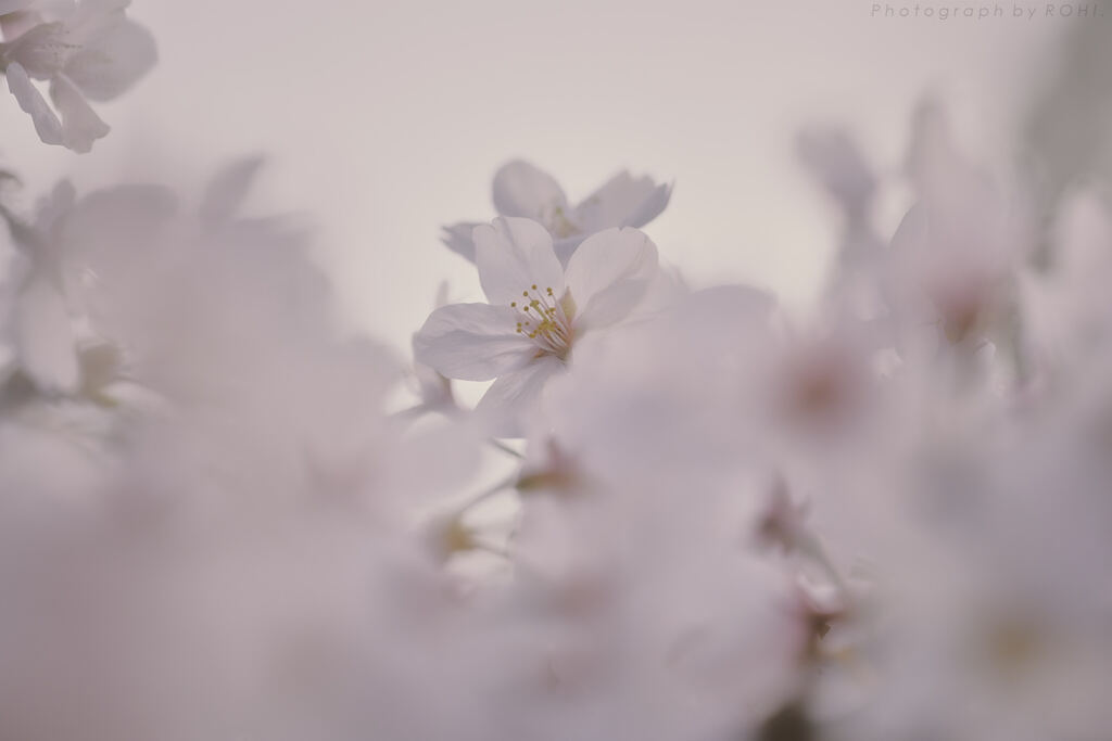 阿銘聰 -8