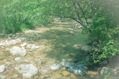 翠洗う往原