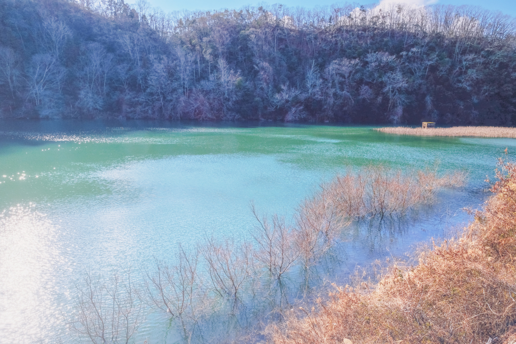 Couleur d'hiver
