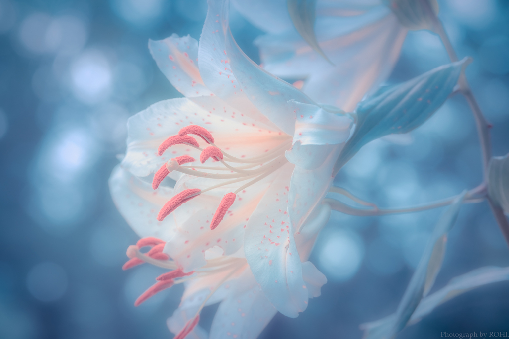 Folded sacredness