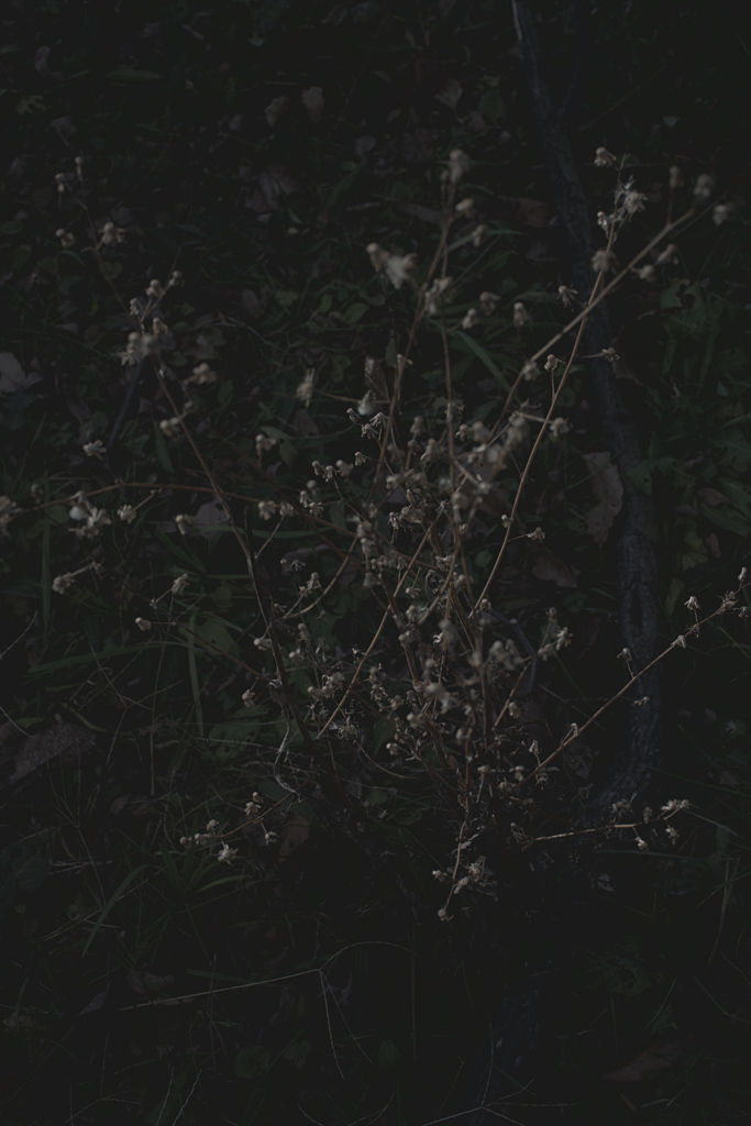 白い火花