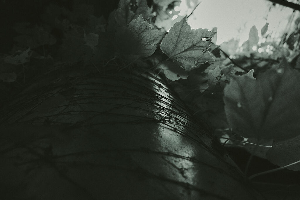 Wind in spiral