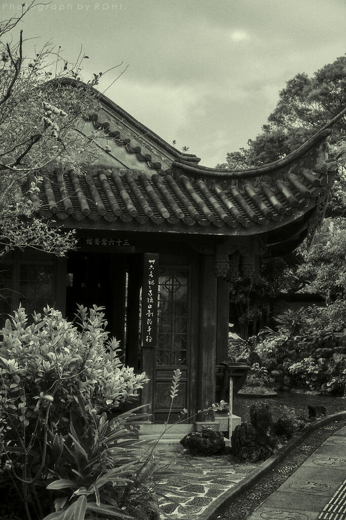 碌招 -8