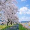 風杷方