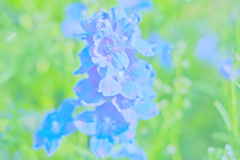 Blue within embarrassing