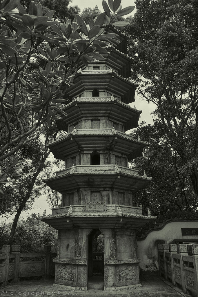 碌招 -5