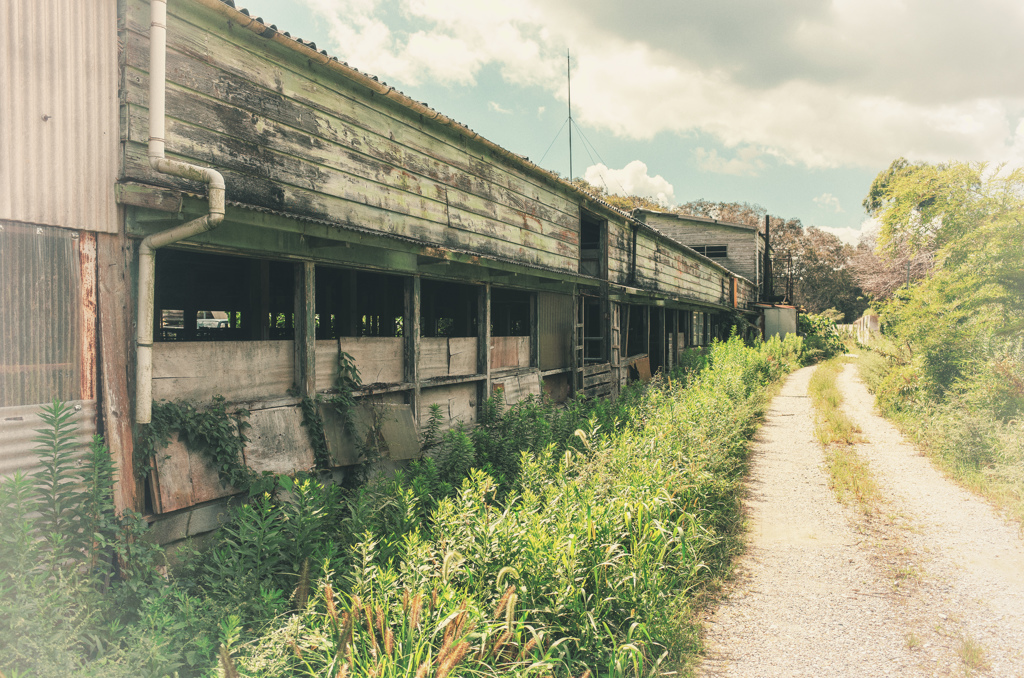 Past the pasture Ⅰ