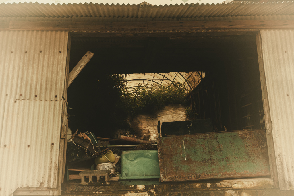Past the pasture Ⅲ