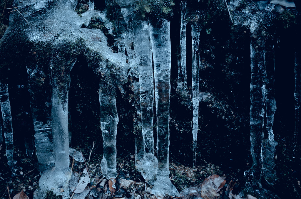 Dawn of Ice