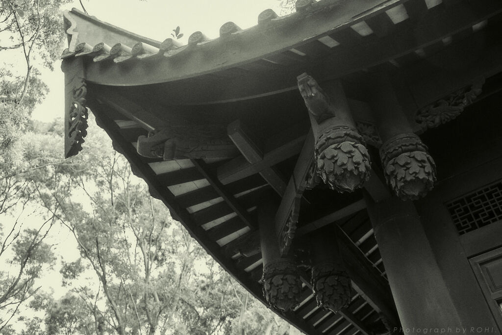 碌招 -9