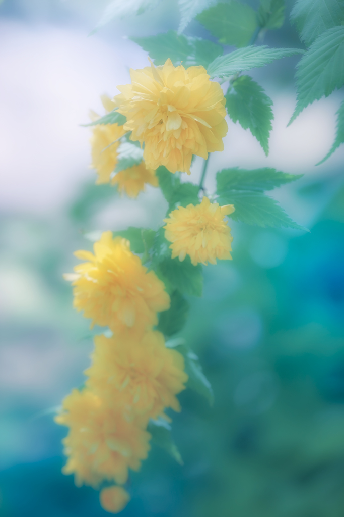 紗溜堵